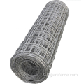 Powder coated galvanized welded wire mesh